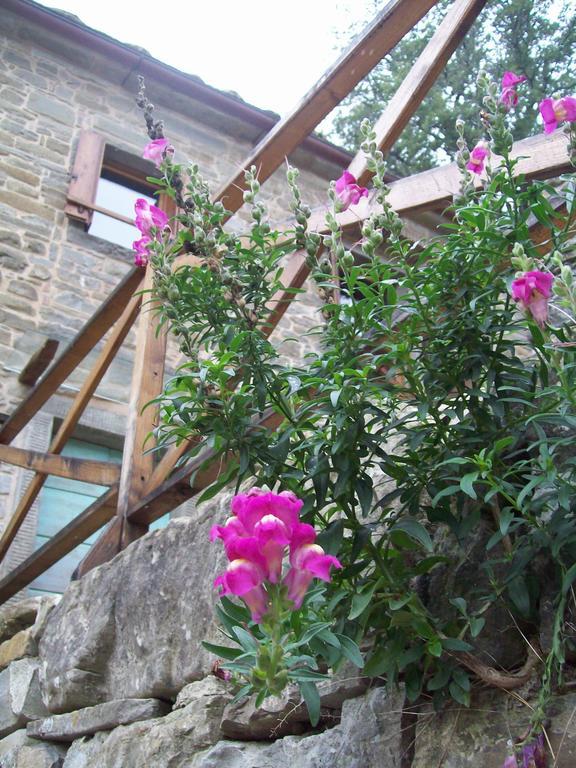 פירנצולה Pieve Di Ca Maggiore מראה חיצוני תמונה