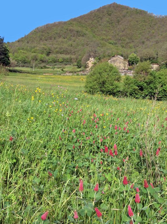 פירנצולה Pieve Di Ca Maggiore מראה חיצוני תמונה